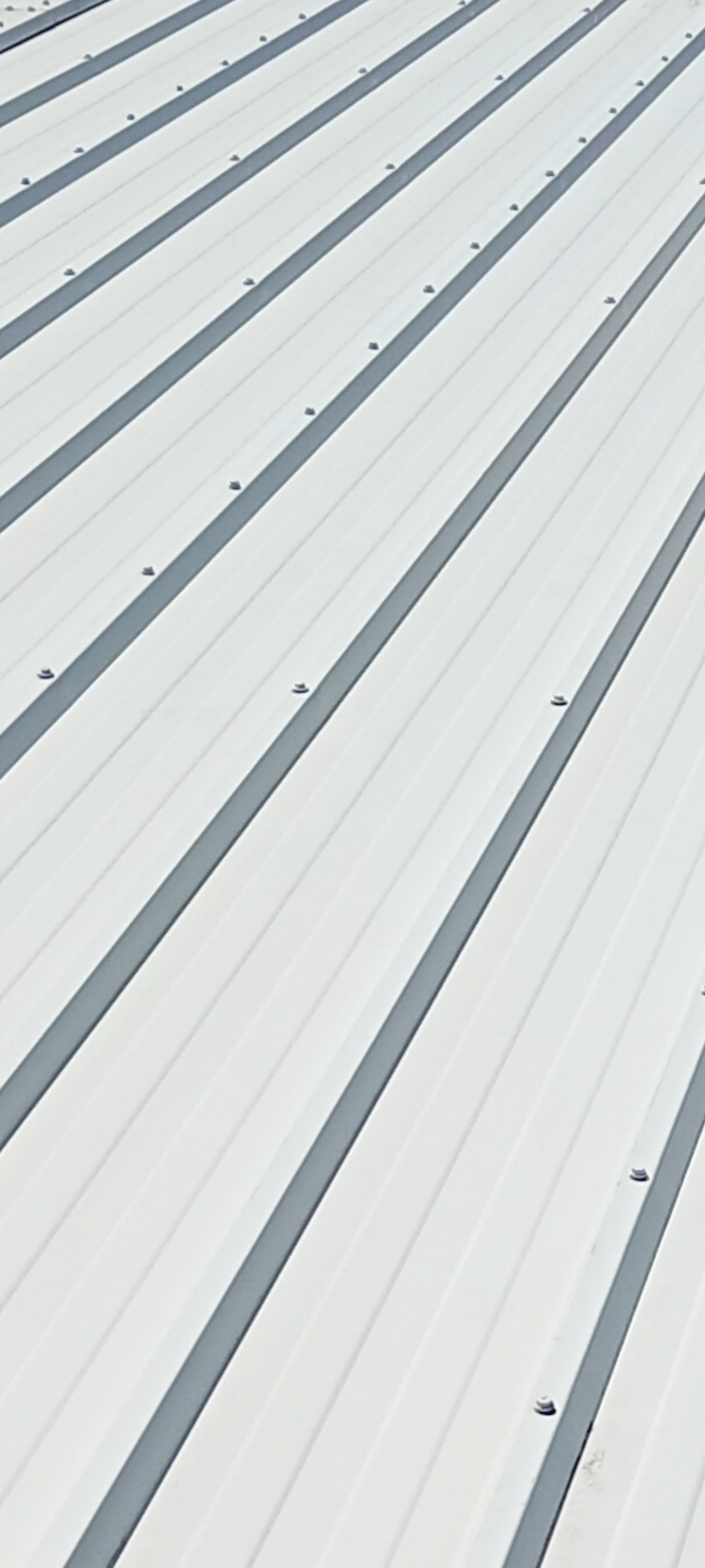Colorbond roof after cleaning